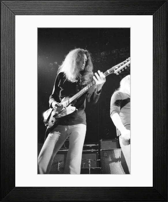 Framed Print : Lynyrd Skynyrd Performs