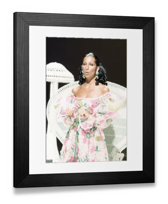 Framed Print : Cher Performing