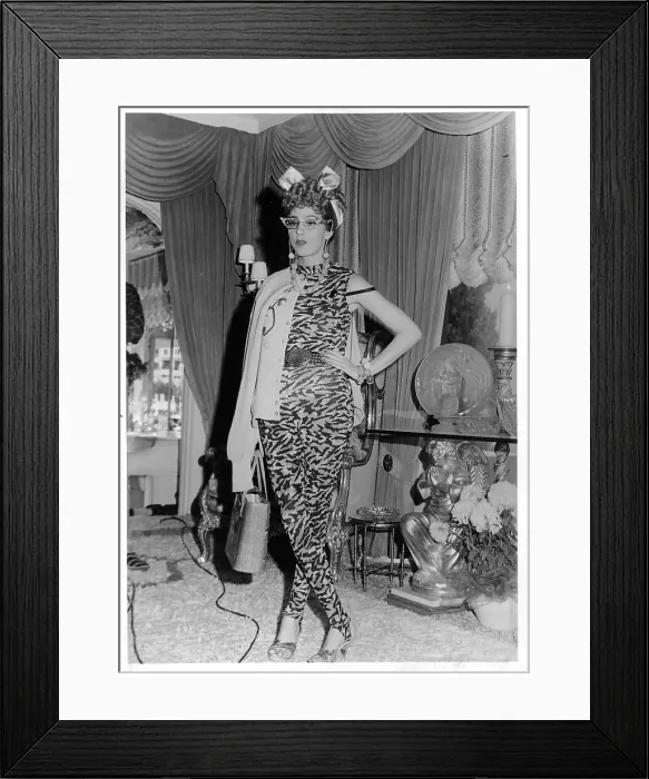 Framed Print : The Sonny & Cher Show Framed Print : The Sonny & Cher Show
