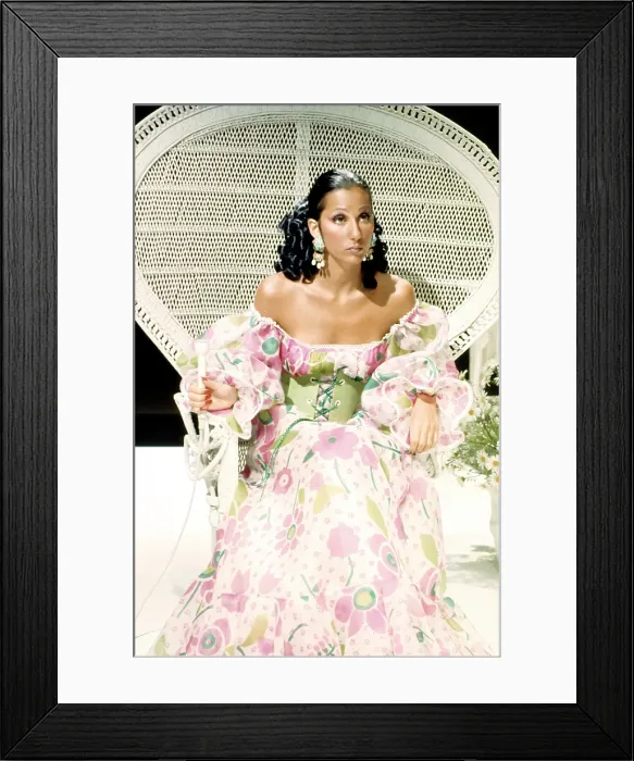 Framed Print : Cher Performing Framed Print : Cher Performing
