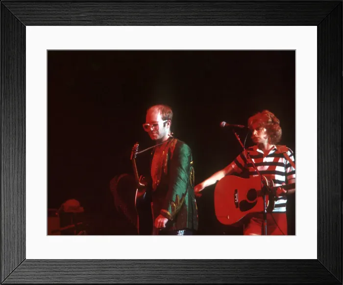 Framed Print : Elton In Green Framed Print : Elton In Green