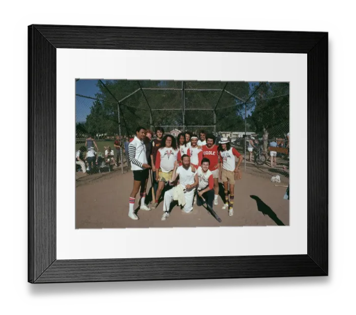 Framed Print : Celebrity Baseball Framed Print : Celebrity Baseball