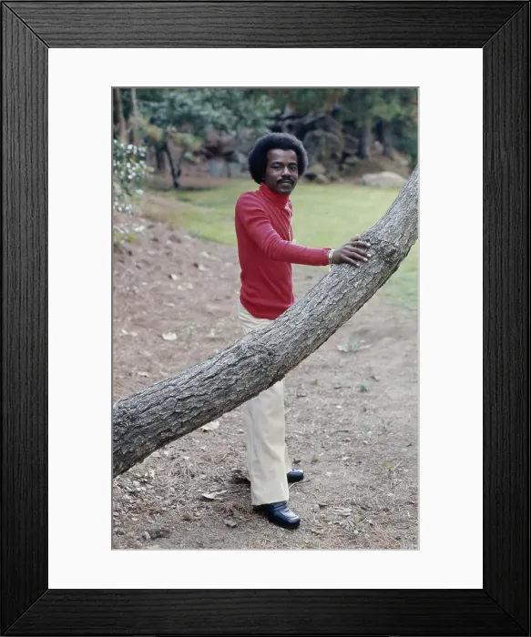 Framed Print : The Soul Train Gang Framed Print : The Soul Train Gang