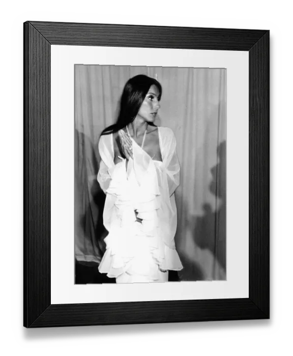 Framed Print : Cher At The Grammys