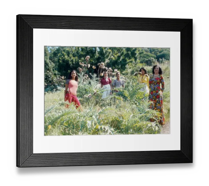 Framed Print : The Sylvers Framed Print : The Sylvers