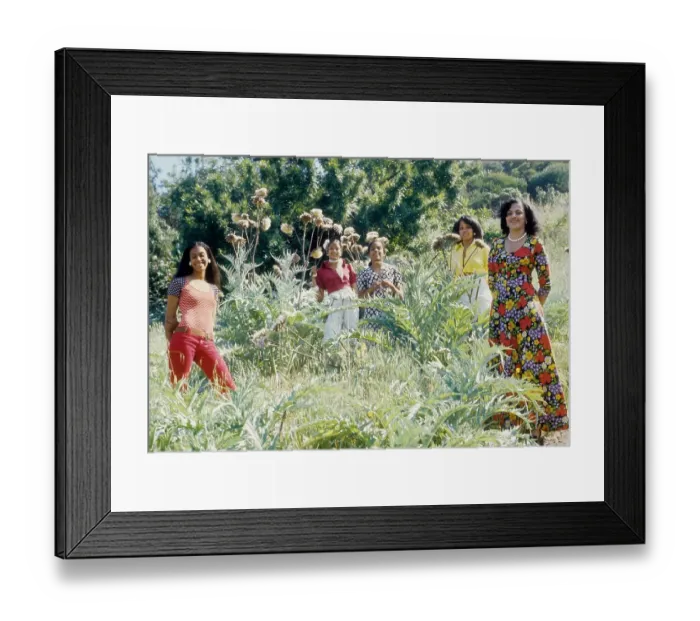 Framed Print : The Sylvers Framed Print : The Sylvers