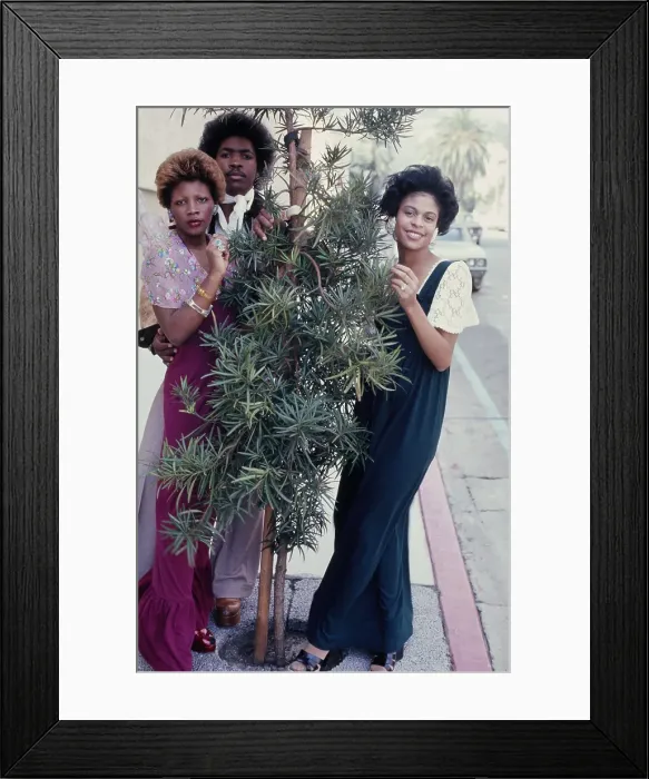 Framed Print : The Soul Train Gang Framed Print : The Soul Train Gang