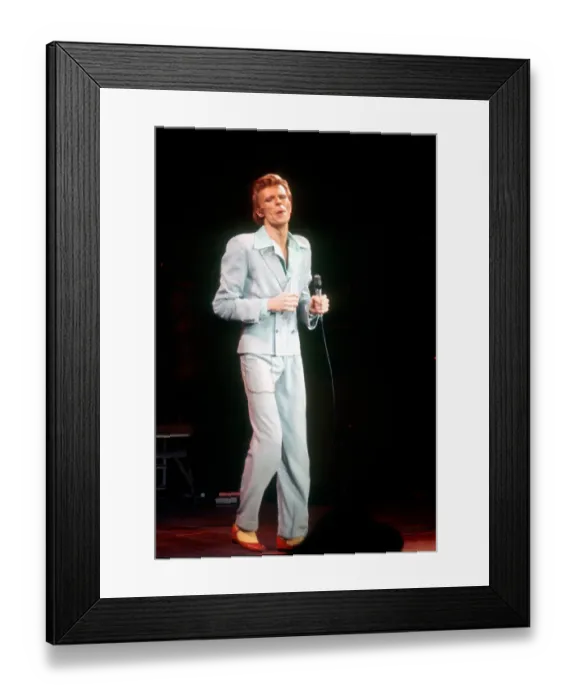 Framed Print : Diamond Dogs Tour Framed Print : Diamond Dogs Tour