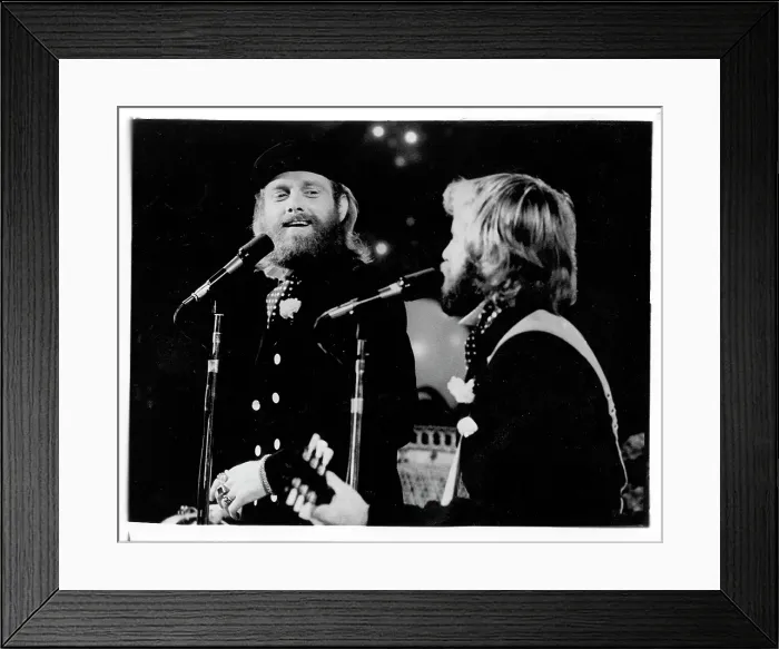 Framed Print : Mike And Al Of The Beach Boys