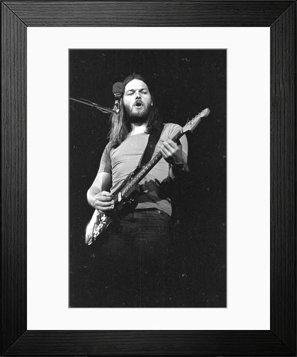 Framed Print : Dave Gilmour Live Framed Print : Dave Gilmour Live