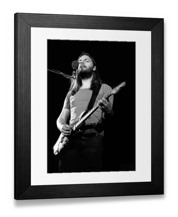 Framed Print : Dave Gilmour Live Framed Print : Dave Gilmour Live