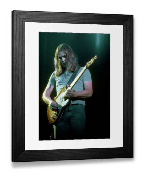 Framed Print : Dave Gilmour Live Framed Print : Dave Gilmour Live