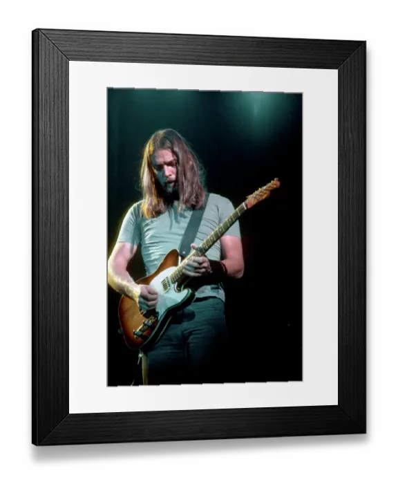 Framed Print : Dave Gilmour Live