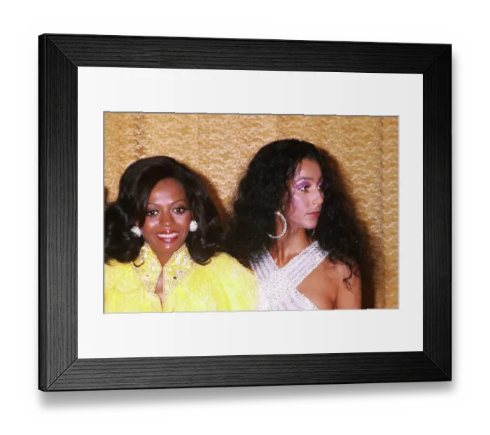 Framed Print : The Rock Music Awards Framed Print : The Rock Music Awards