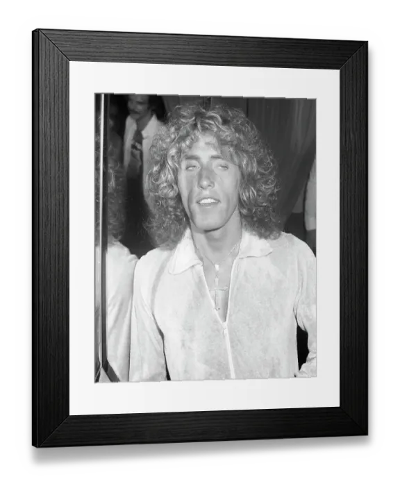 Framed Print : Who Singer At A Party Framed Print : Who Singer At A Party