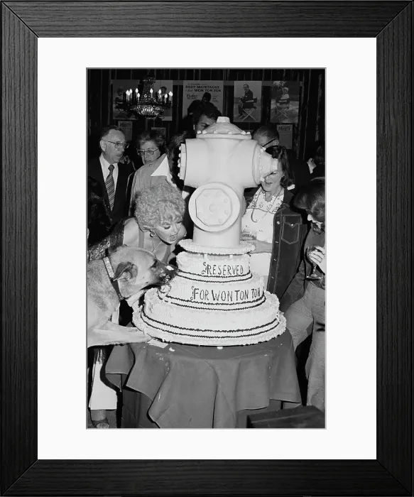 Framed Print : Won Ton Ton, the Dog Who Saved Hollywood Wrap Party Framed Print : Won Ton Ton, the Dog Who Saved Hollywood Wrap Party