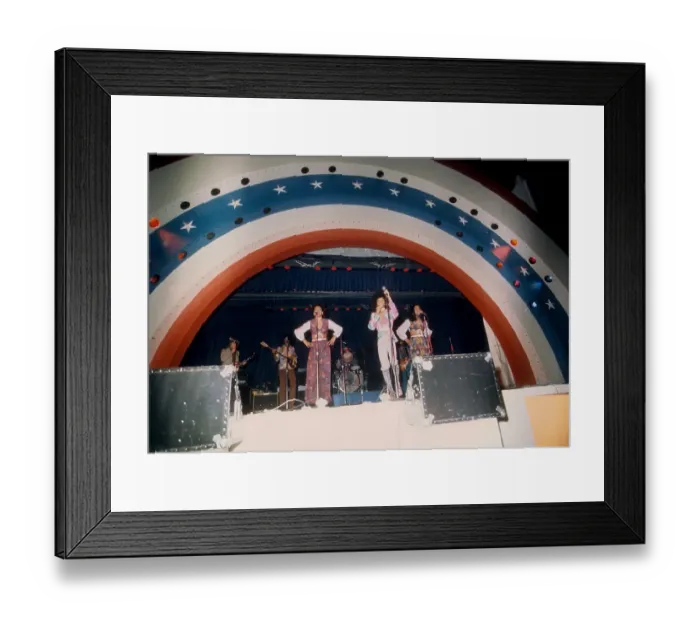 Framed Print : The Sylvers At Disneyland