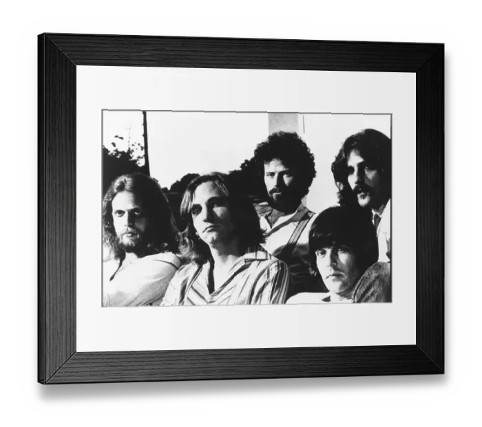 Framed Print : Eagles Portrait Framed Print : Eagles Portrait