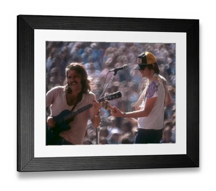 Framed Print : Eagles Performing Framed Print : Eagles Performing