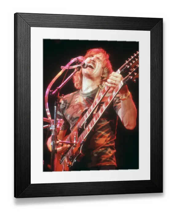 Framed Print : Joe Walsh of the Eagles Performing Framed Print : Joe Walsh of the Eagles Performing