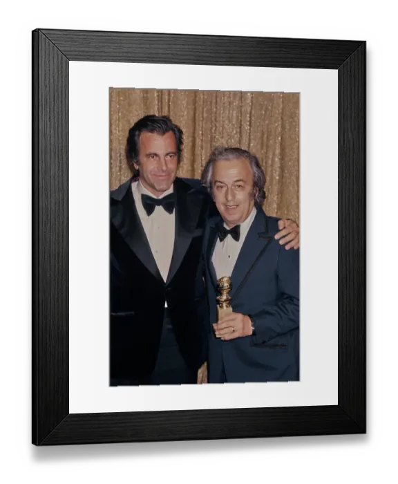 Framed Print : 33rd Golden Globe Awards - Press Room Framed Print : 33rd Golden Globe Awards - Press Room