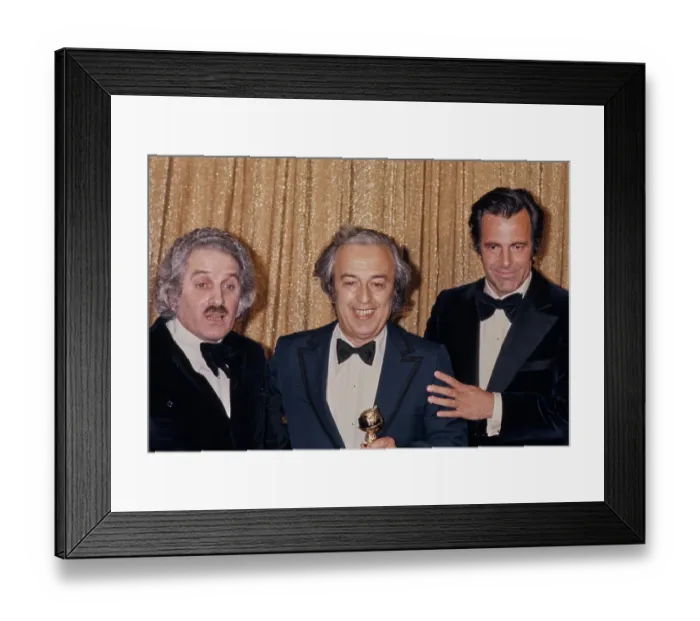 Framed Print : 33rd Golden Globe Awards - Press Room Framed Print : 33rd Golden Globe Awards - Press Room