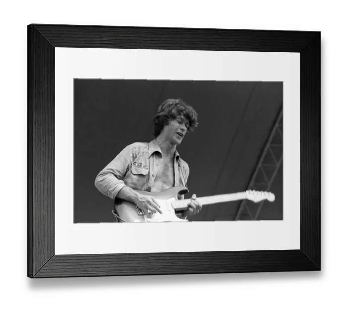 Framed Print : The Band Outdoor Concert Framed Print : The Band Outdoor Concert