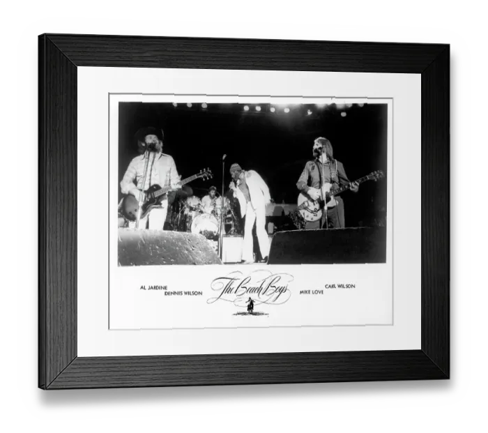 Framed Print : Beach Boys Performing Framed Print : Beach Boys Performing