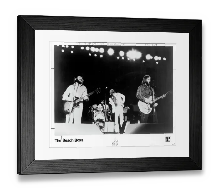 Framed Print : Beach Boys Performing Framed Print : Beach Boys Performing