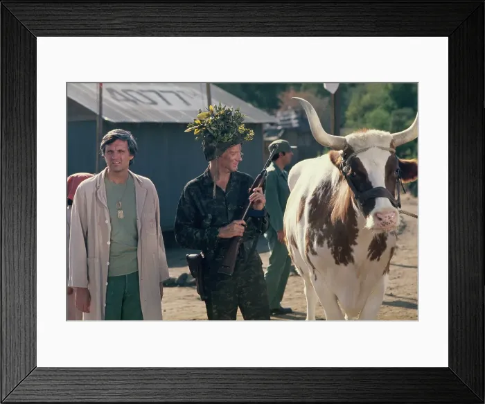 Framed Print : Alan And Larry - M*A*S*H Production