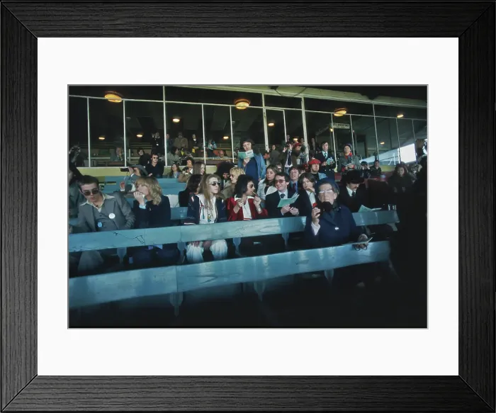 Framed Print : A Day At The Races Framed Print : A Day At The Races