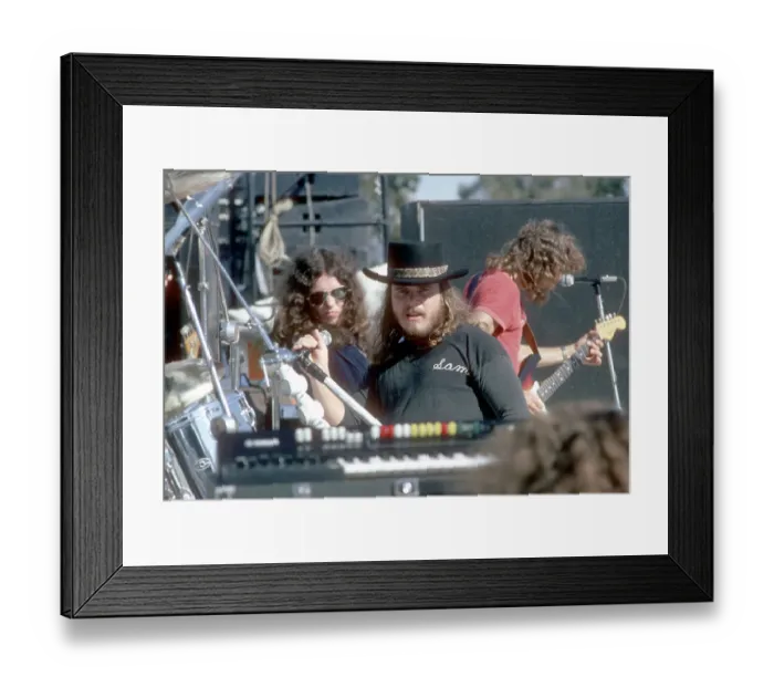 Framed Print : Lynyrd Skynyrd Performs Framed Print : Lynyrd Skynyrd Performs