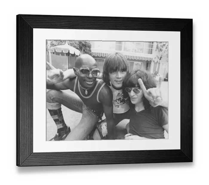 Framed Print : Funk And Punk Musicians Framed Print : Funk And Punk Musicians