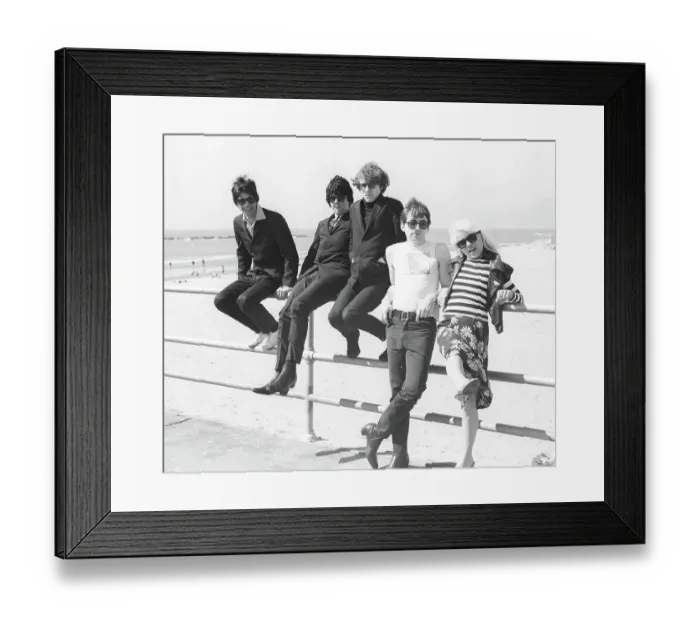 Framed Print : Blondie In Santa Monica Framed Print : Blondie In Santa Monica