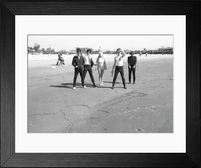 Framed Print : Blondie Portrait Session On The Beach