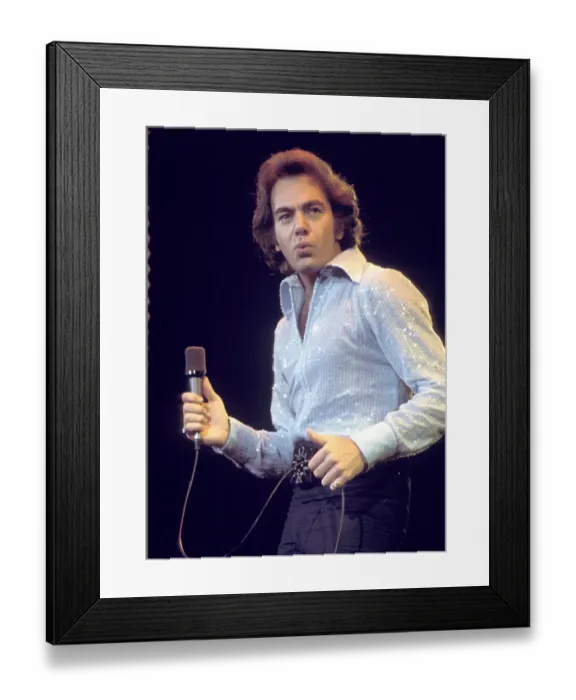 Framed Print : Diamond Stud Framed Print : Diamond Stud