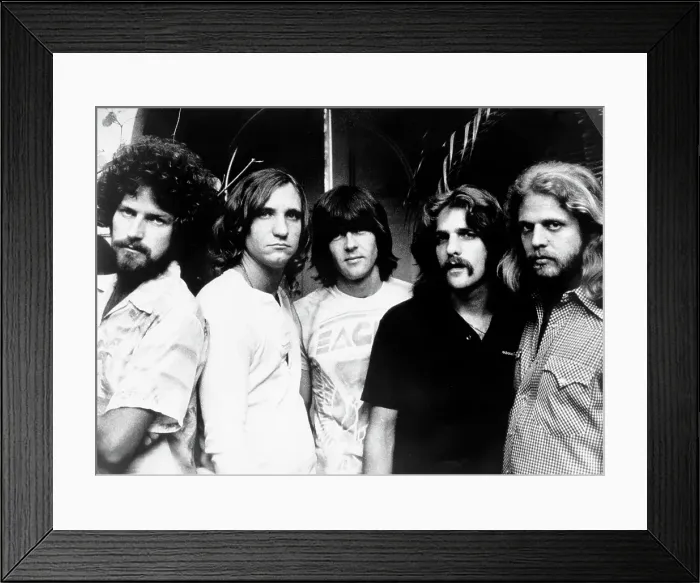 Framed Print : Eagles Portrait Framed Print : Eagles Portrait