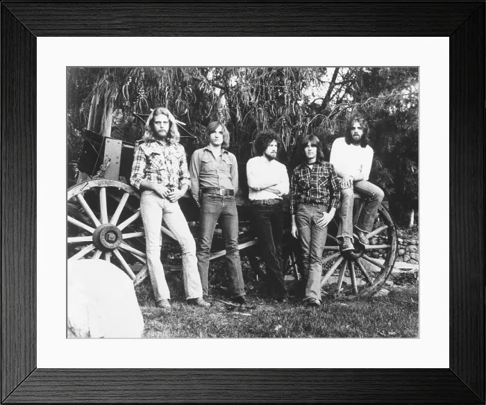 Framed Print : Eagles Portrait Framed Print : Eagles Portrait