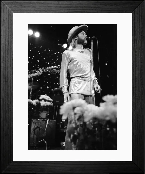 Framed Print : Mike Love Performing Framed Print : Mike Love Performing