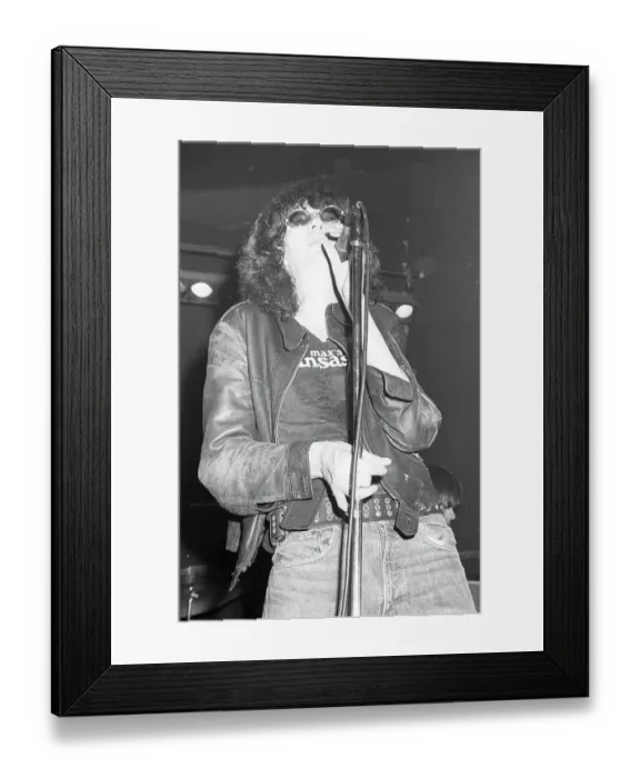 Framed Print : The Ramones Framed Print : The Ramones