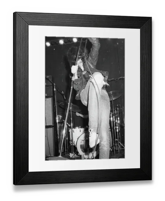 Framed Print : The Ramones Framed Print : The Ramones