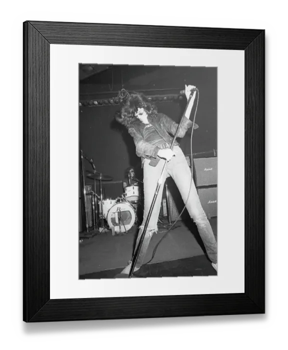 Framed Print : The Ramones Framed Print : The Ramones
