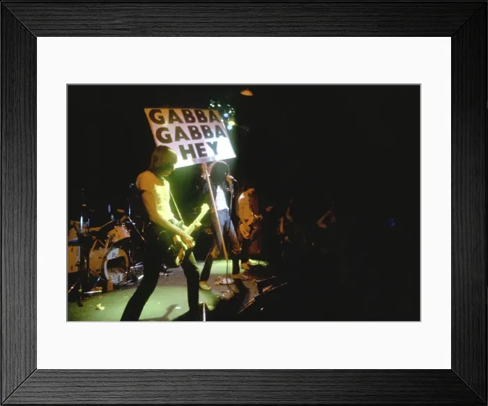 Framed Print : The Ramones Framed Print : The Ramones