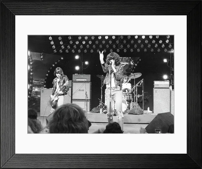 Framed Print : Ramones Performing Framed Print : Ramones Performing