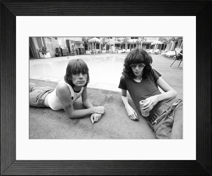 Framed Print : Ramones Lounging Poolside Framed Print : Ramones Lounging Poolside
