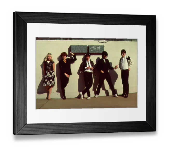 Framed Print : Blondie Portrait Session At Griffith Observatory Framed Print : Blondie Portrait Session At Griffith Observatory