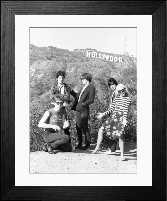 Framed Print : Blondie Portrait Session With Hollywood Sign Framed Print : Blondie Portrait Session With Hollywood Sign