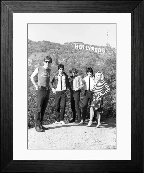 Framed Print : Blondie Portrait Session With Hollywood Sign Framed Print : Blondie Portrait Session With Hollywood Sign