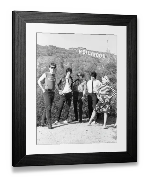 Framed Print : Blondie Portrait Session With The Hollywood Sign Framed Print : Blondie Portrait Session With The Hollywood Sign