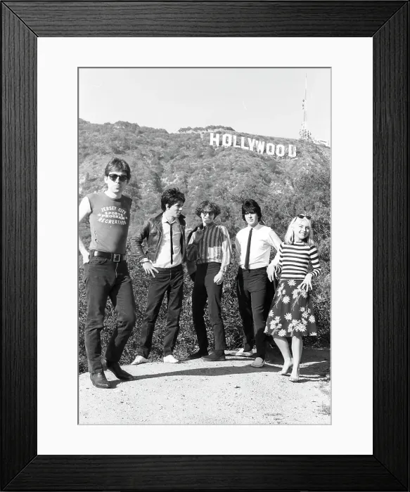 Framed Print : Blondie Portrait Session With The Hollywood Sign Framed Print : Blondie Portrait Session With The Hollywood Sign